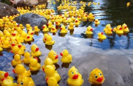 DUCK RACE PAU 2023