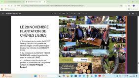 plantation au stade de LINXE PHILIPPE BOULART